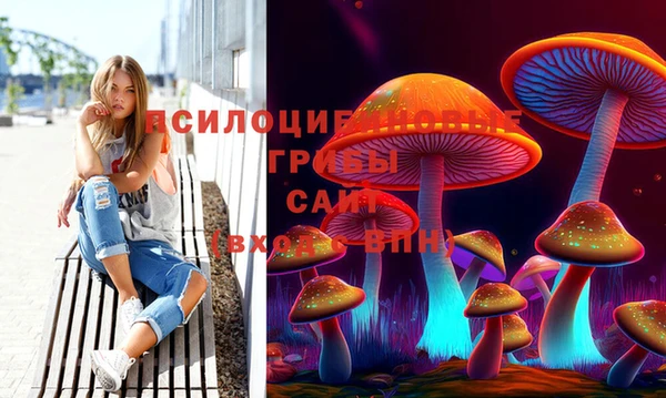 MESCALINE Аркадак