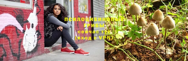 MESCALINE Аркадак
